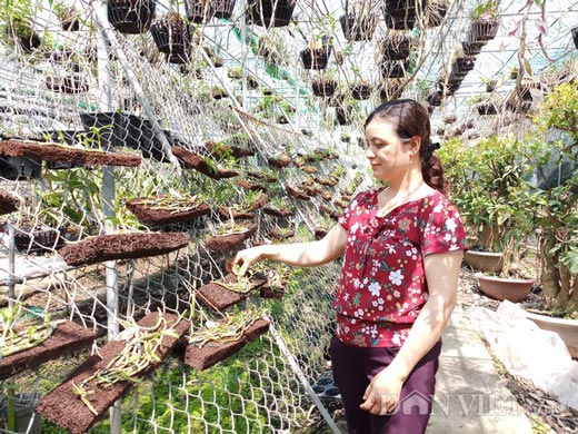 Cổng Thông Tin Hội Liên hiệp Phụ nữ Việt Nam