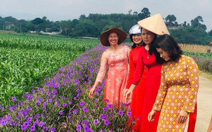 Tuyến đường hoa của phụ nữ Vĩnh Phúc