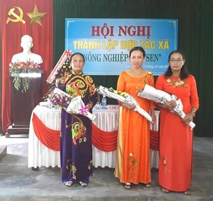 Ảnh minh họa