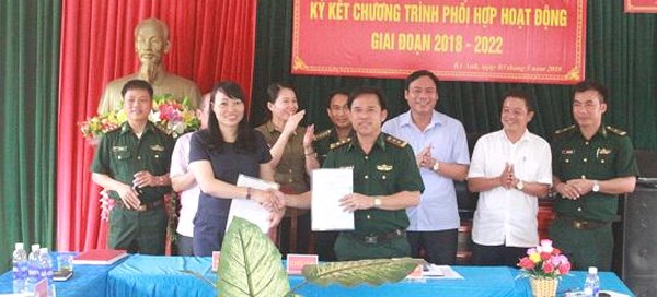 Ảnh minh họa