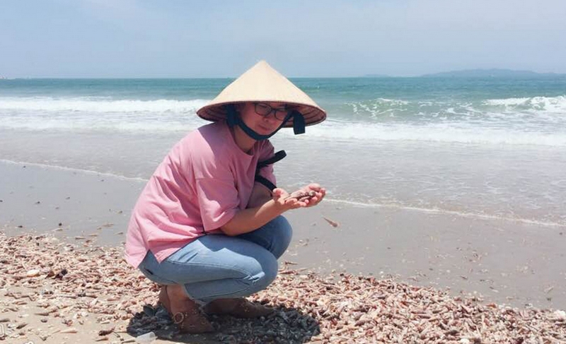 Ảnh minh họa