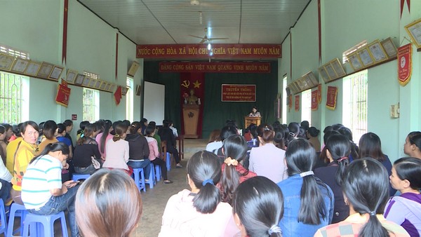 Ảnh minh họa