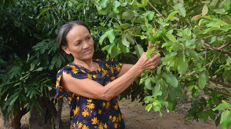 Ảnh minh họa