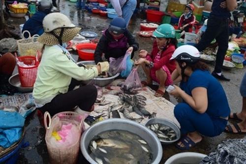Phụ nữ Việt tốn 1/4 thời gian trong ngày cho việc... không tên 